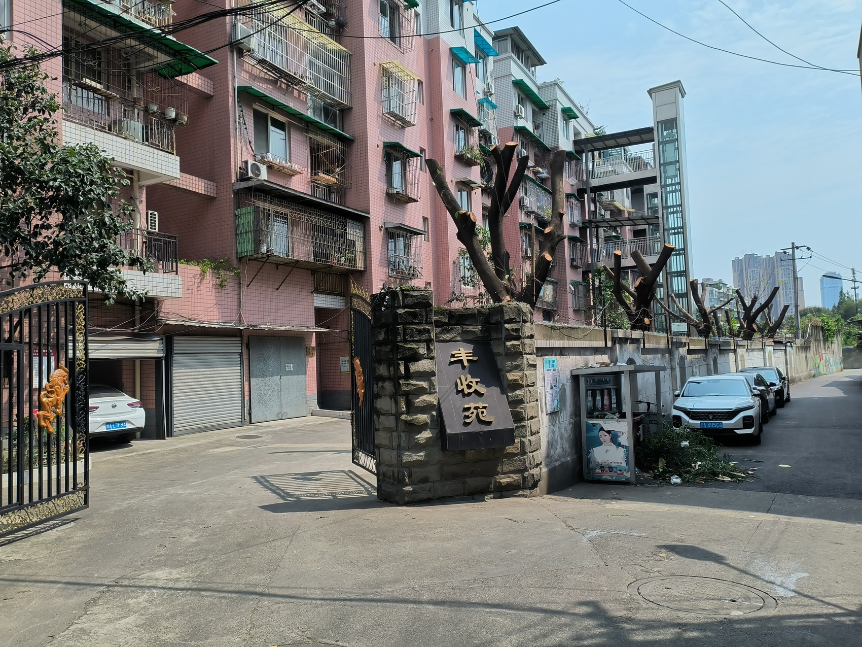 成都市新都区：“问题”小区凤凰联盟app蝶变记 院落焕新来支招(图2)