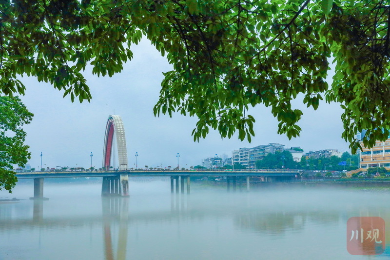 睛彩雅安⑤青衣江薄雾升腾雨中雅安宛若海市蜃楼