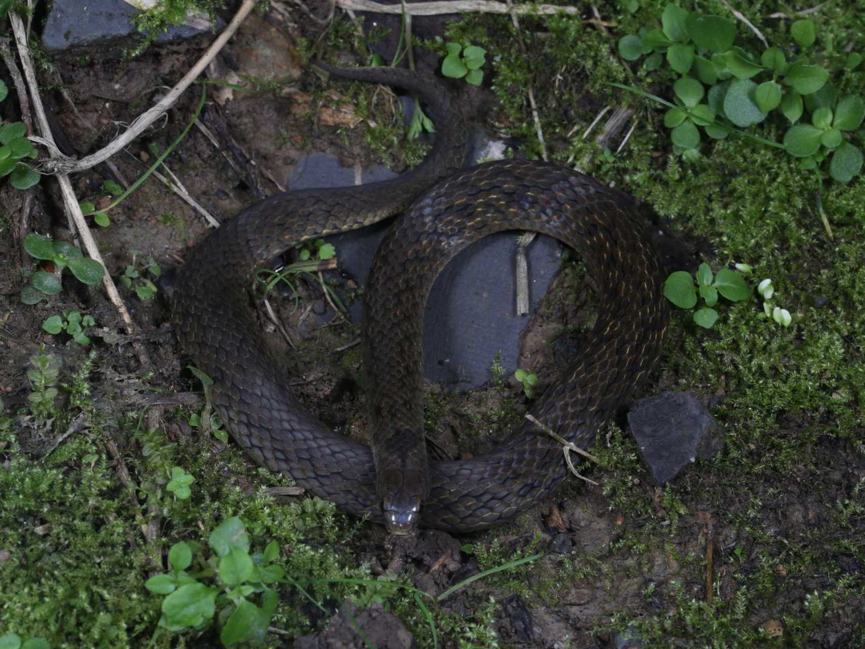 newscontent-0625ee8c-e28f-4451-a5e5-c3a709d7bd37-1761127143637