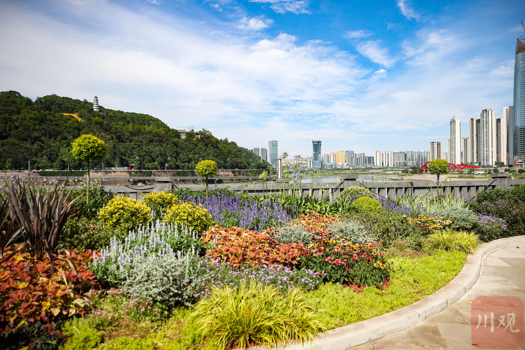 c视频快来看升级改造后的夜宜宾江景太美了