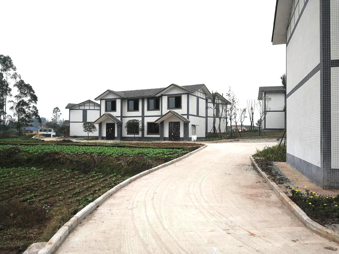 收获稳稳幸福荣县旭阳镇马石村村民露出幸福笑脸