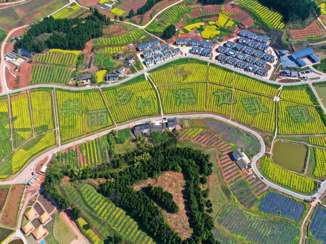 乡土IP引来八方客流 遂宁市常理镇将“流量”变“留量” 丨四川“乡”当潮
