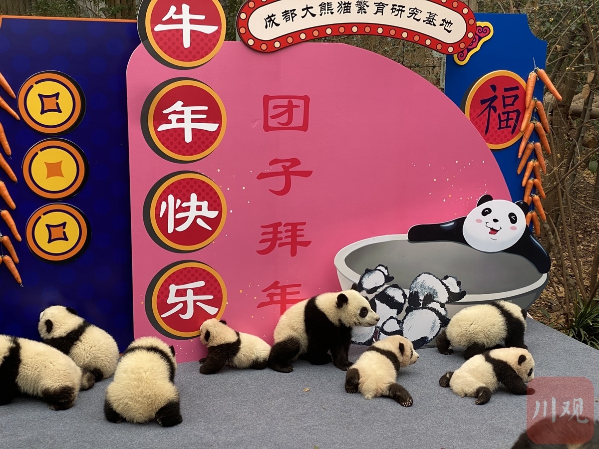 网络中国节