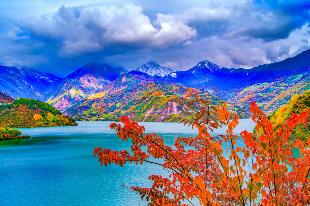 视频多图最美红叶季已到来宝兴与红叶撞个满怀