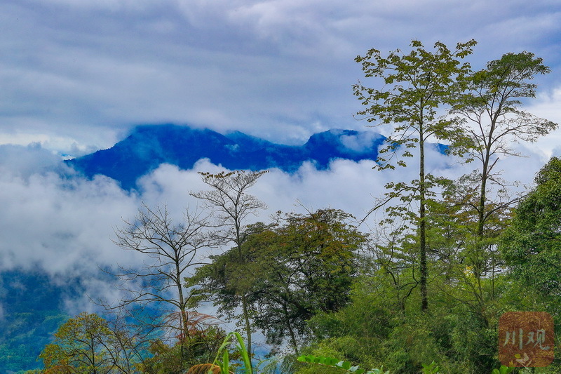 雅安远山烟黛云雾绕水墨雨城惹人醉