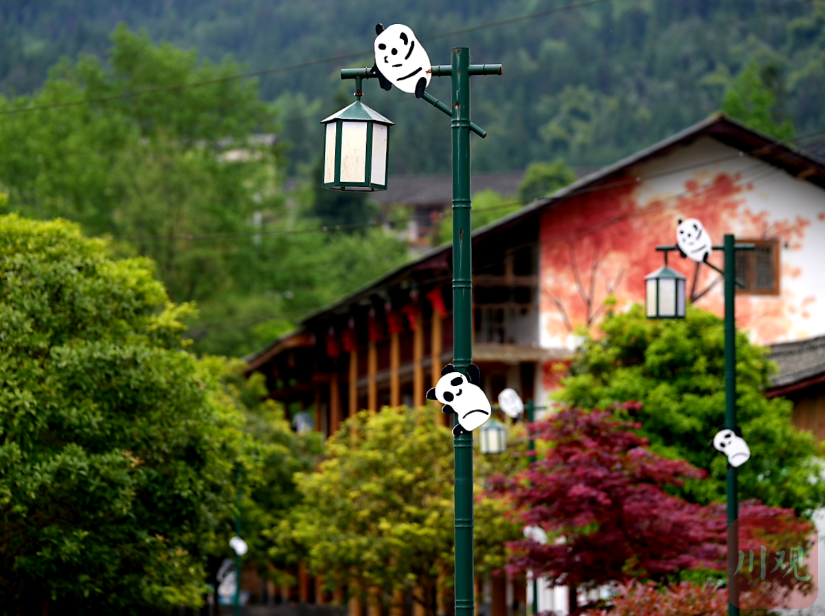 发展村内的大熊猫路灯