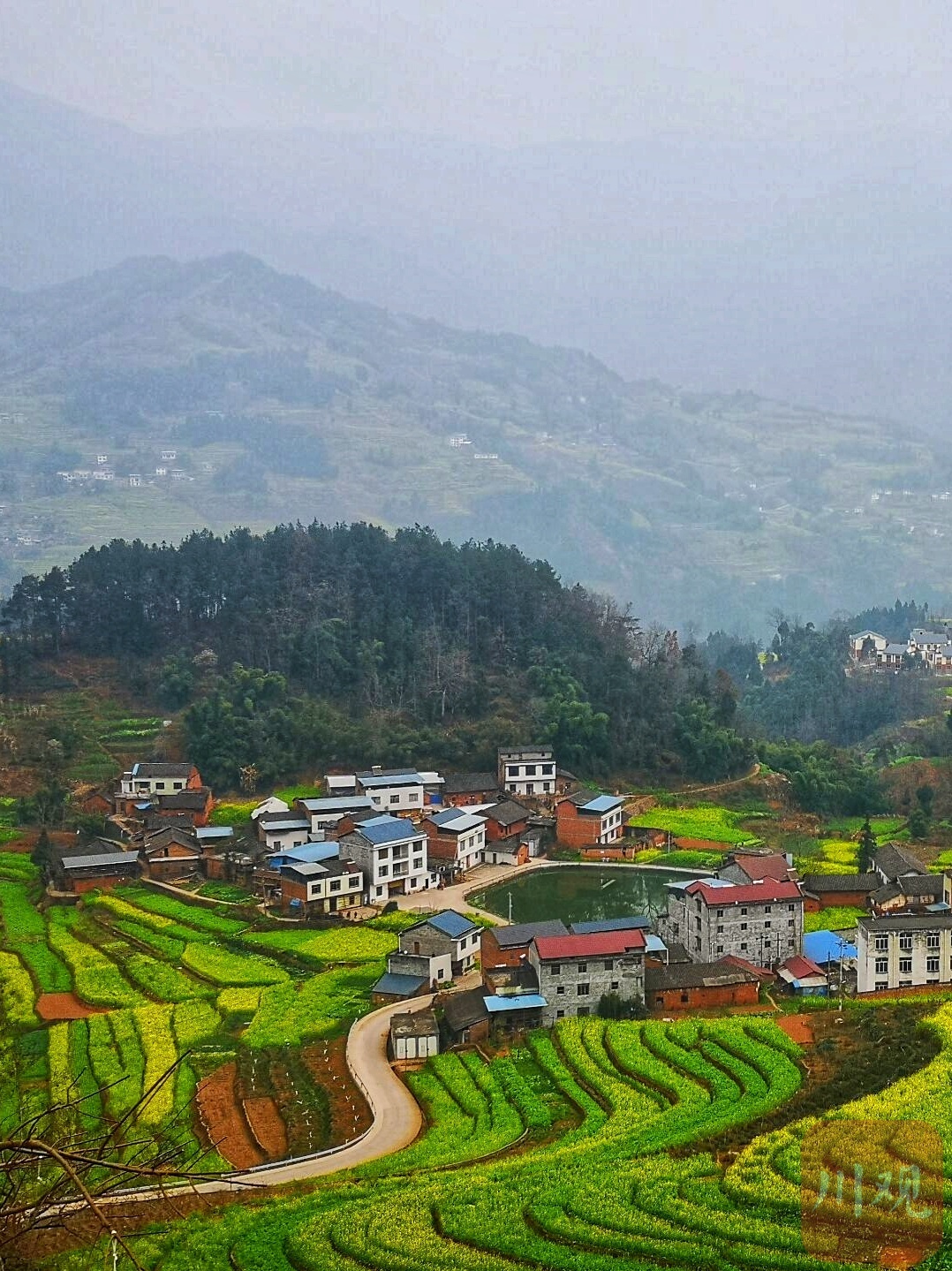 2021年2月3日是二十四节气的立春,而宜宾市屏山县中都镇的油菜花已经