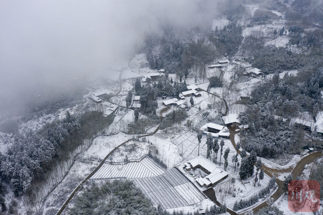 赏雪去彭州天台山雪铺起了
