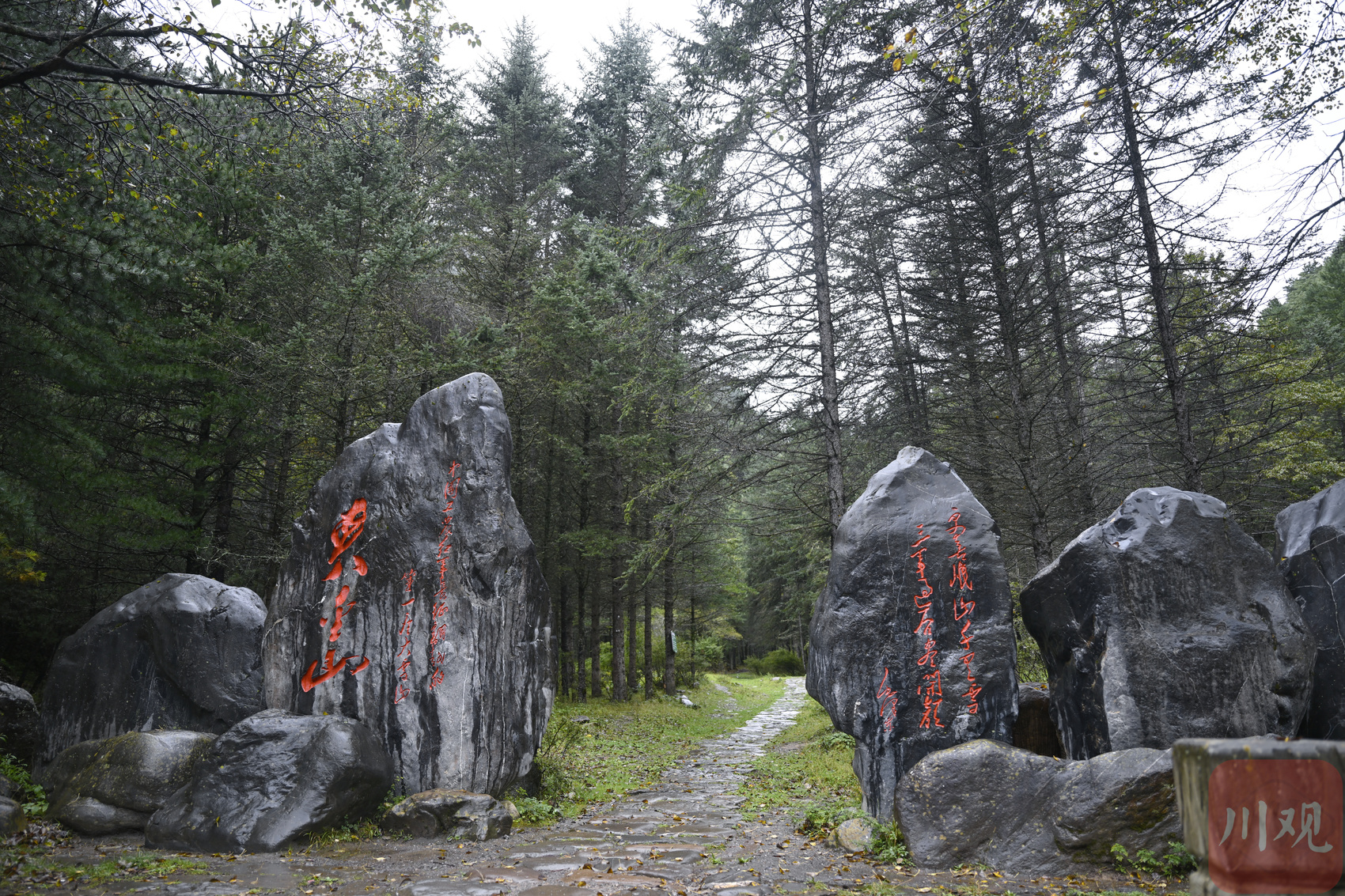 重走夹金山小道 这里是红军长征翻越雪山的起点 重走夹金山小道 这里是红军长征翻越雪山的起点