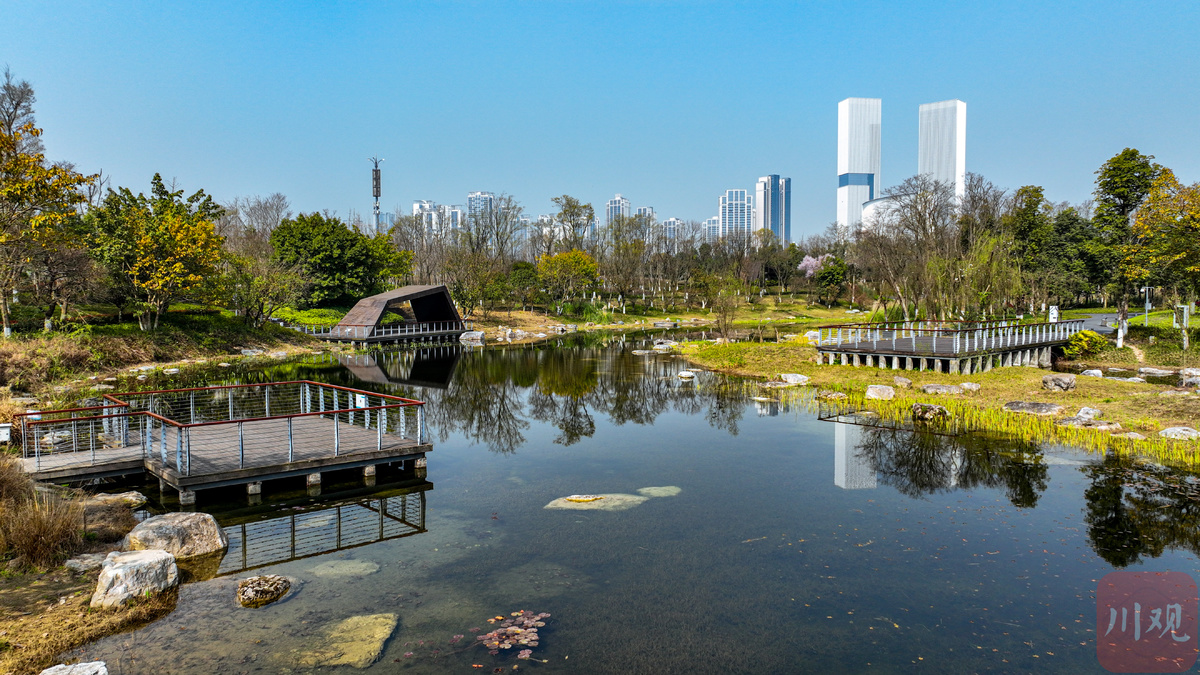 c视频穿越成都公园城市见证城市与自然和谐共生