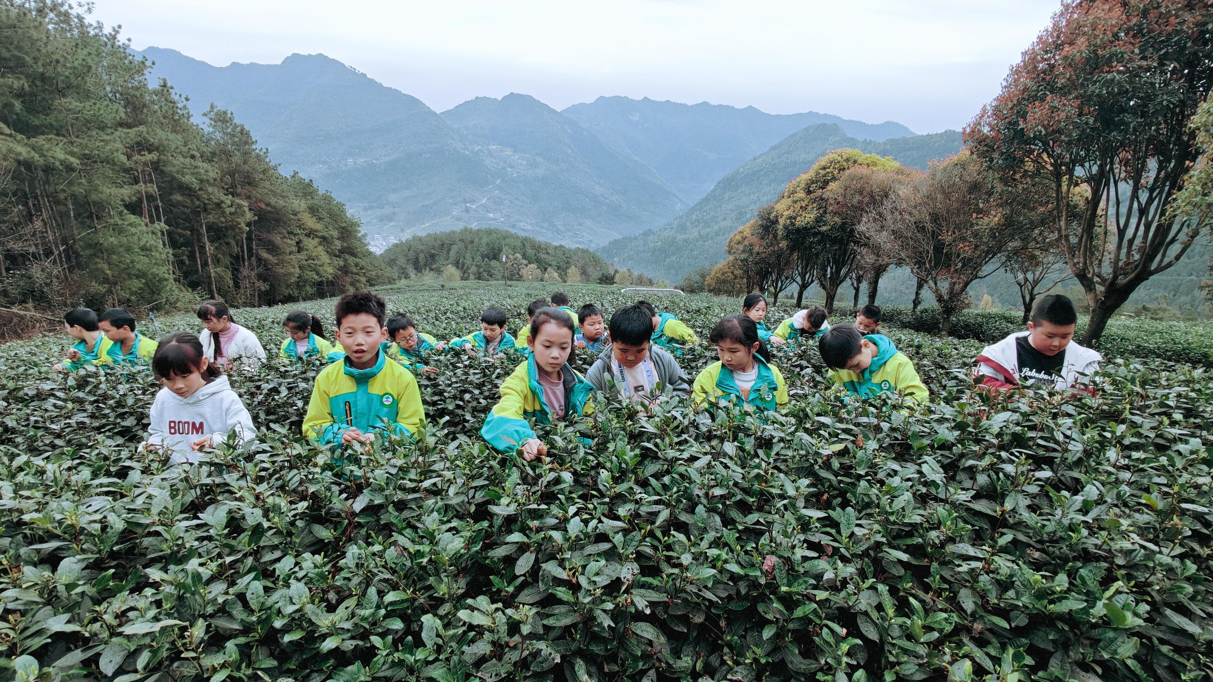 春假&ldquo;搅热&rdquo;四川文旅：&ldquo;行走的课堂&rdquo;带来产业新机遇丨春假去哪儿