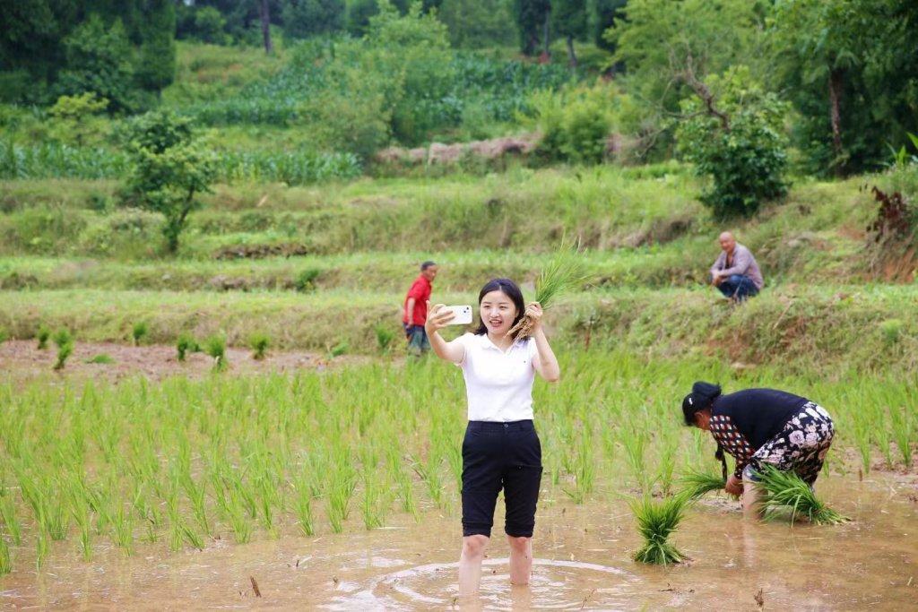 第27届中国五四青年奖章获得者邓小燕在田野里挥洒青春汗水人境后浪