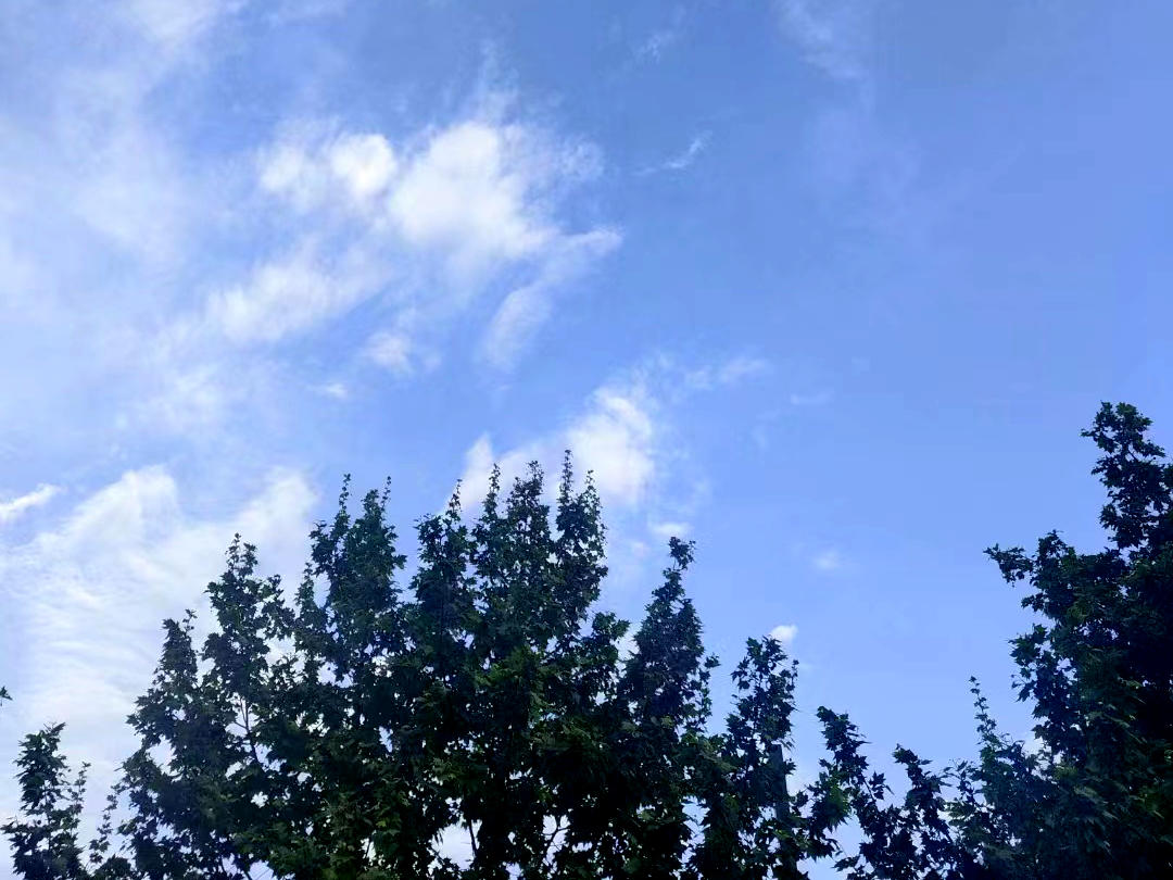 四川盆地8月上半月空气质量预报：部分时段部分城市有臭氧轻度污染风险