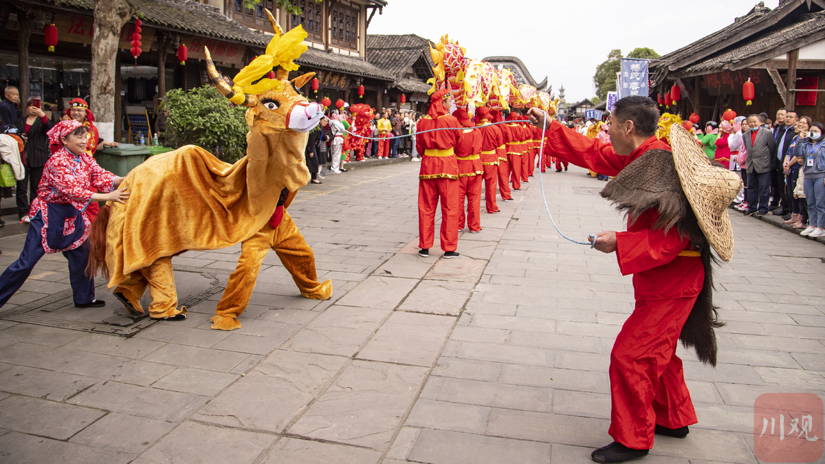 崇州元通清明会上演金牛闹春祈福仪式民俗巡游