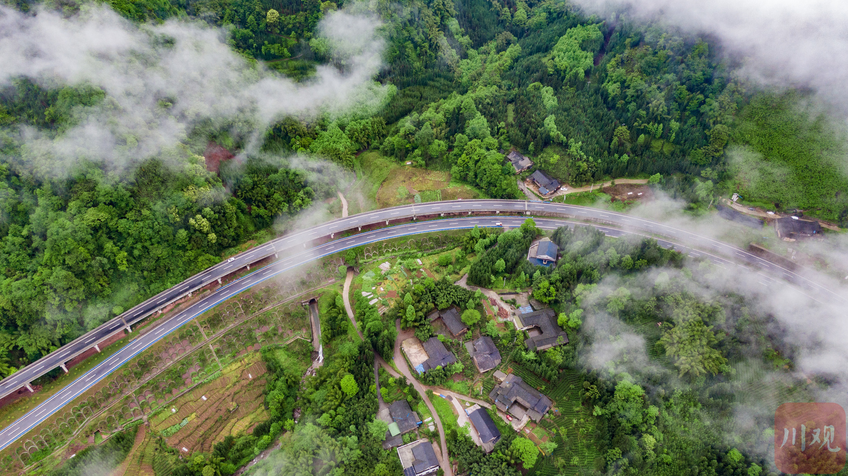 雨后的大峨眉国际旅游西环线宛如仙山秘境 - 川观新闻