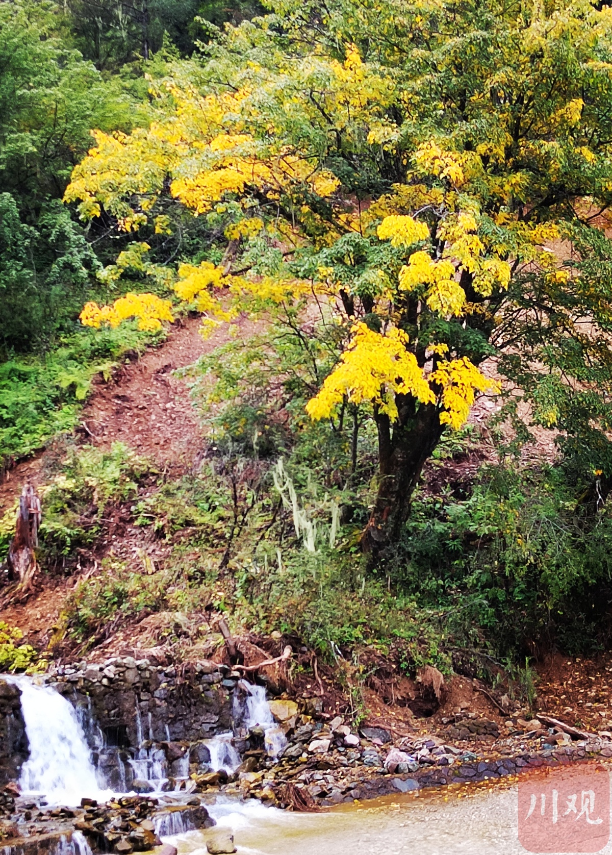 金秋十月，木里瓦厂镇赏秋正当时(图6)