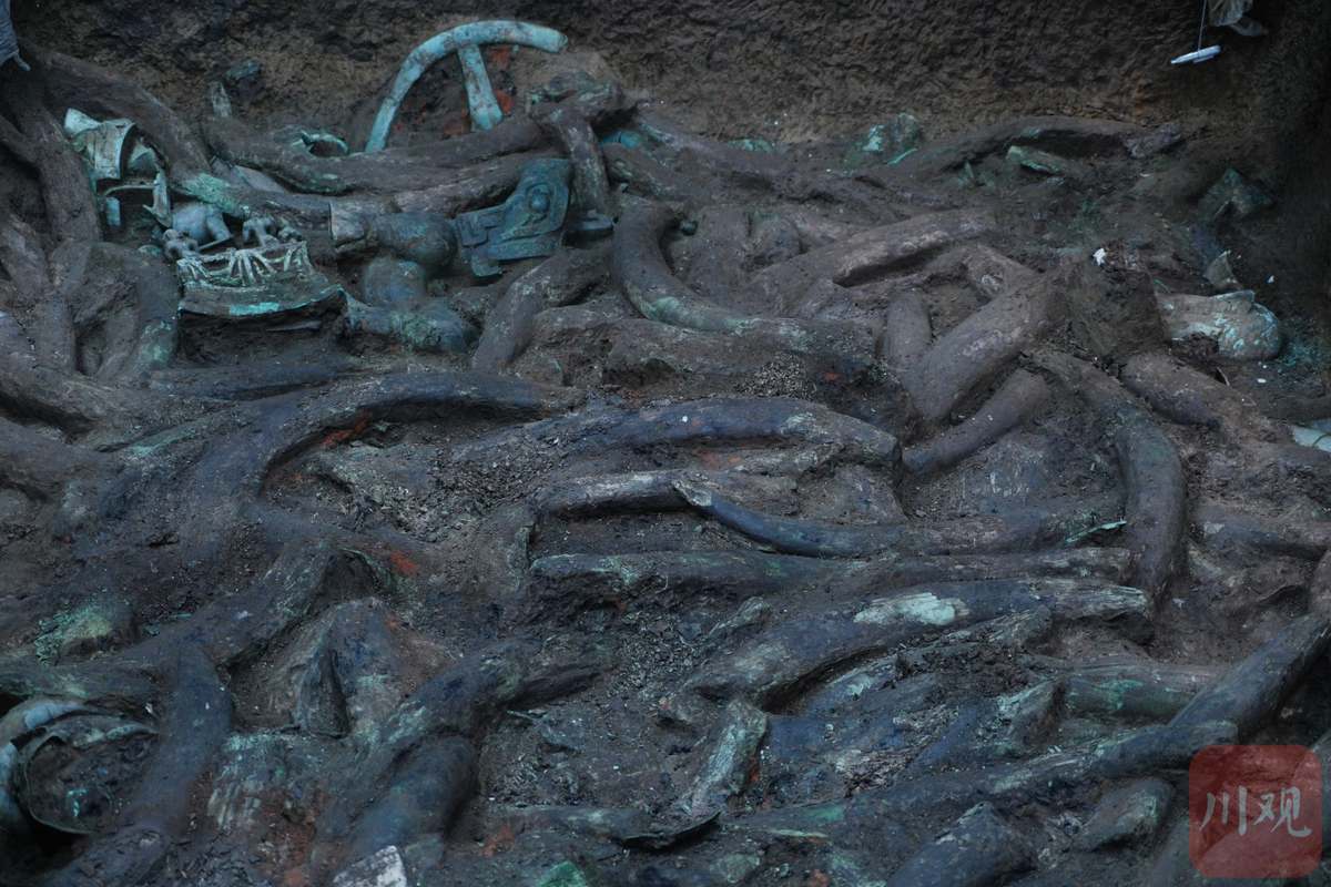 三星堆大发现⑨8号坑直击象牙密密麻麻青铜器造型震撼