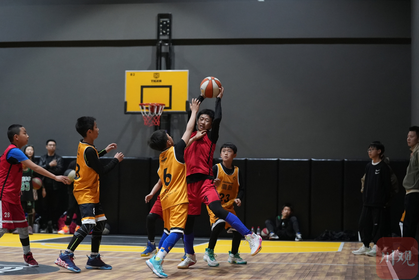 c视频|"爱成都·迎大运" 周末社区少儿篮球赛激战正酣