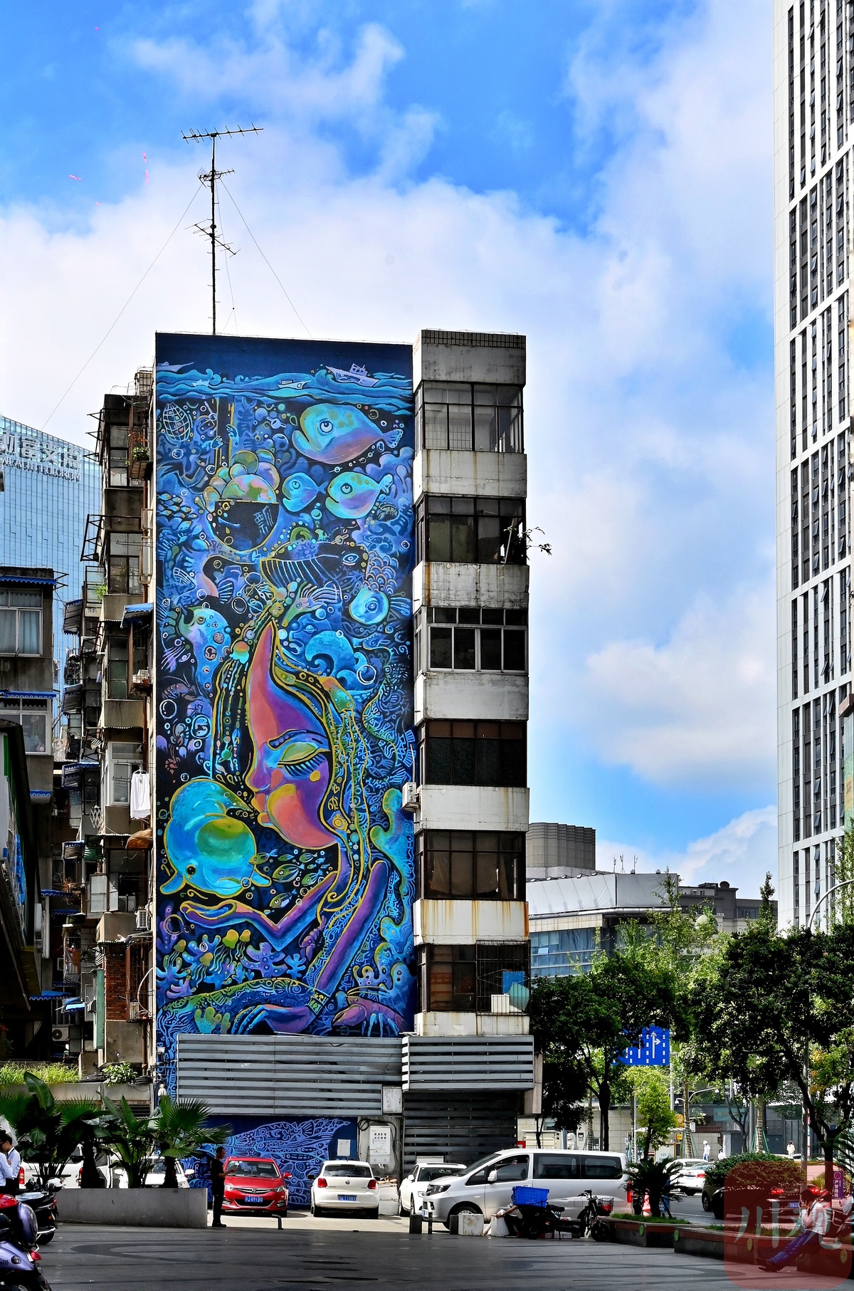 其实说起城市楼房的墙面彩绘, 早在20年前成都就有了,没想到吧.