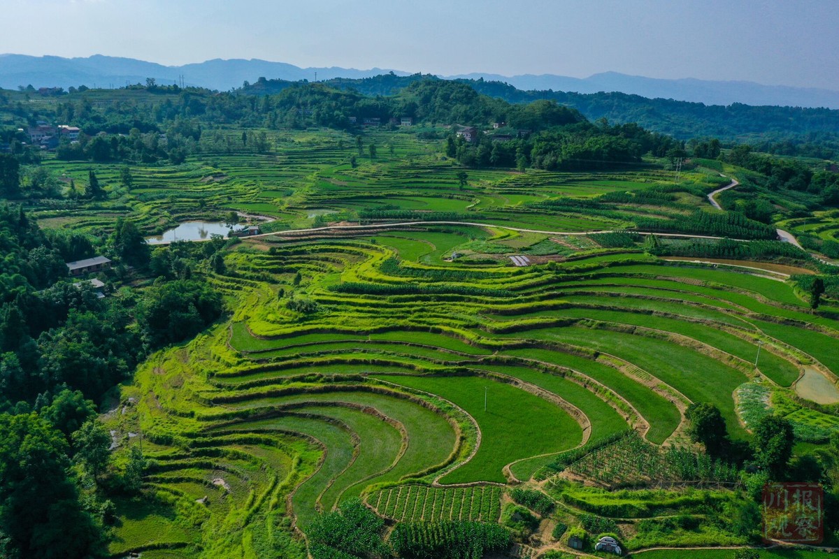 6月6日下午,记者航拍达州市大竹县高穴镇官家村,阡陌纵横的梯田美如
