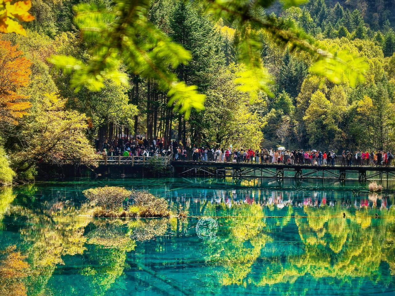 成都虚拟电厂+1，，，，，，可调动资源相当于两座小型古板电厂 - 川观新闻