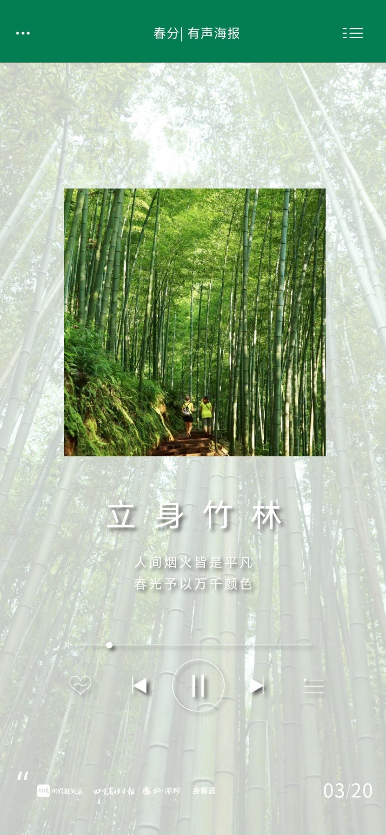 听春新萌动的声音