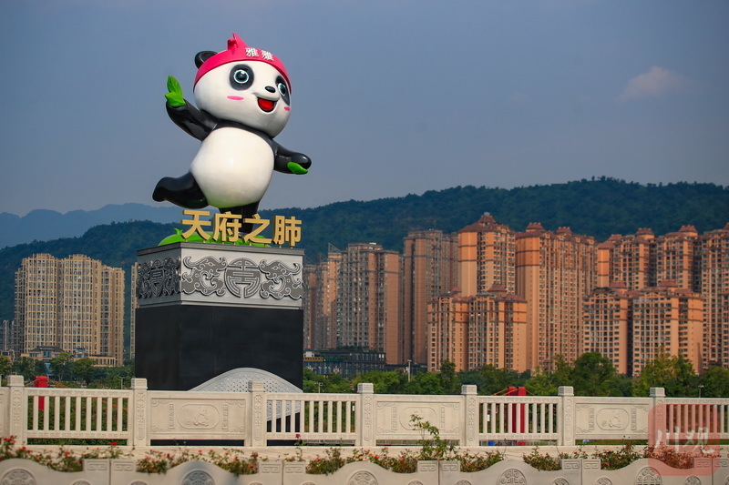 送往俄罗斯的大熊猫"丁丁"……8月4日,记者在位于雅安市区的大兴二桥