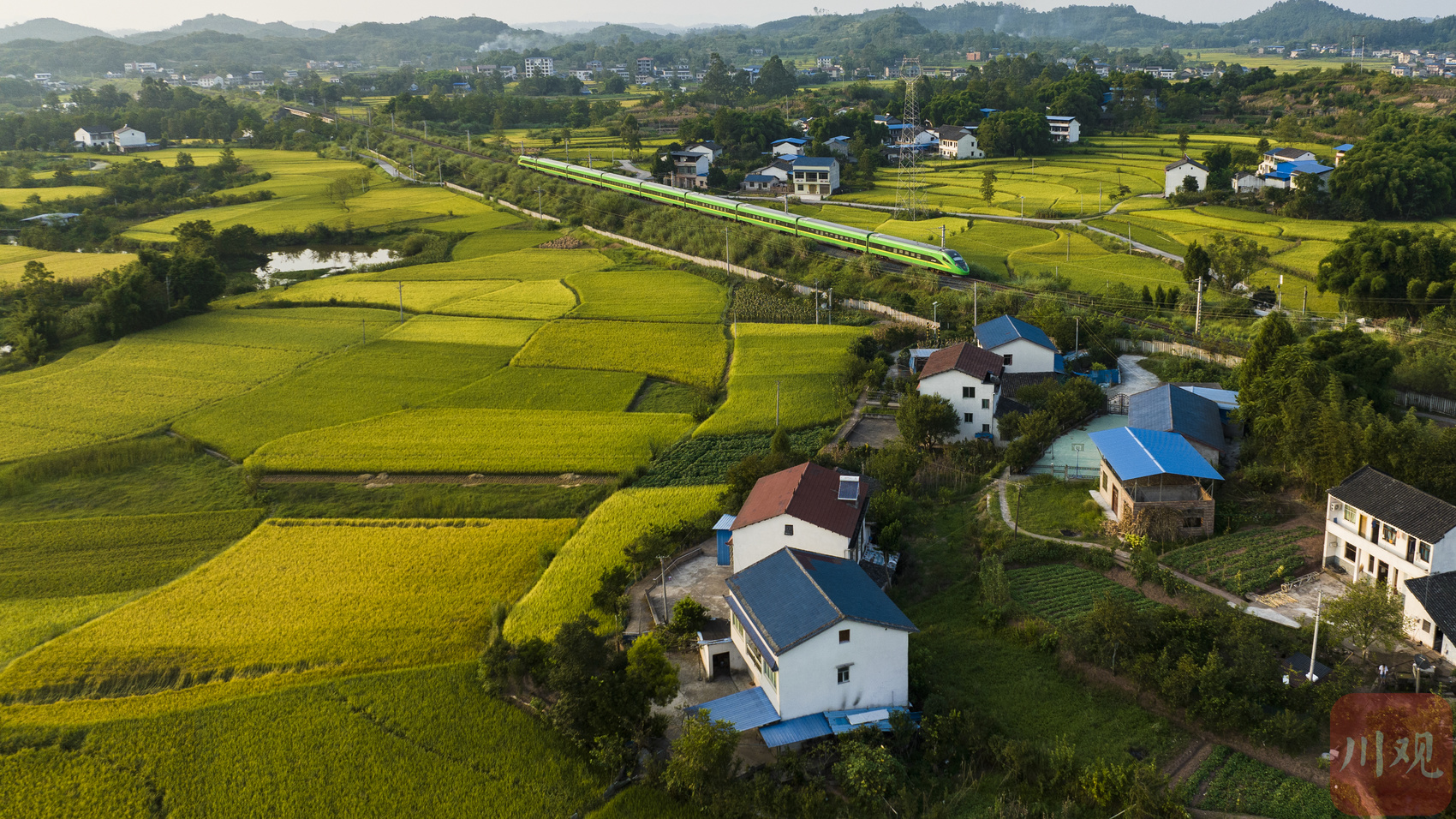 穿越金色稻田,一路"丰"景正好 - 川观新闻