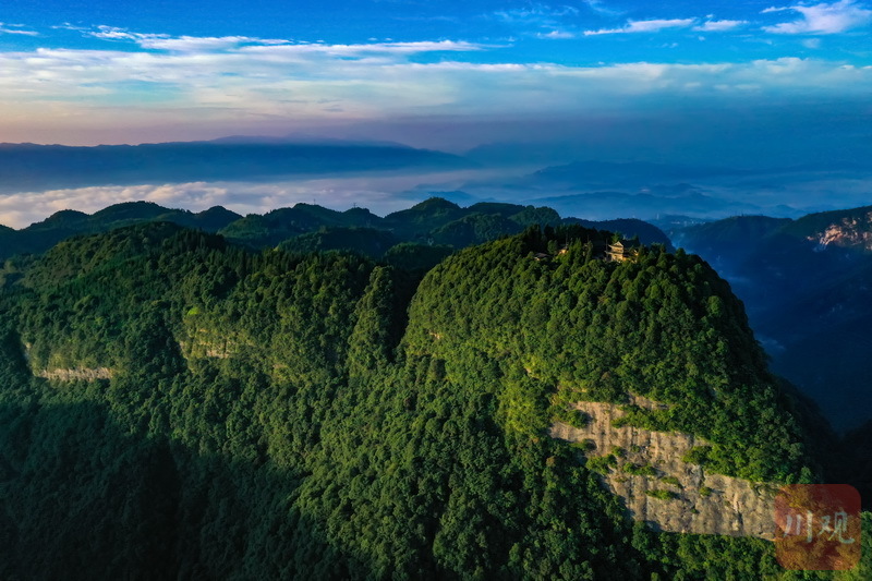 苍翠的树木……7月5日,当清晨第一缕阳光抛洒至雅安芦山县灵鹫山顶