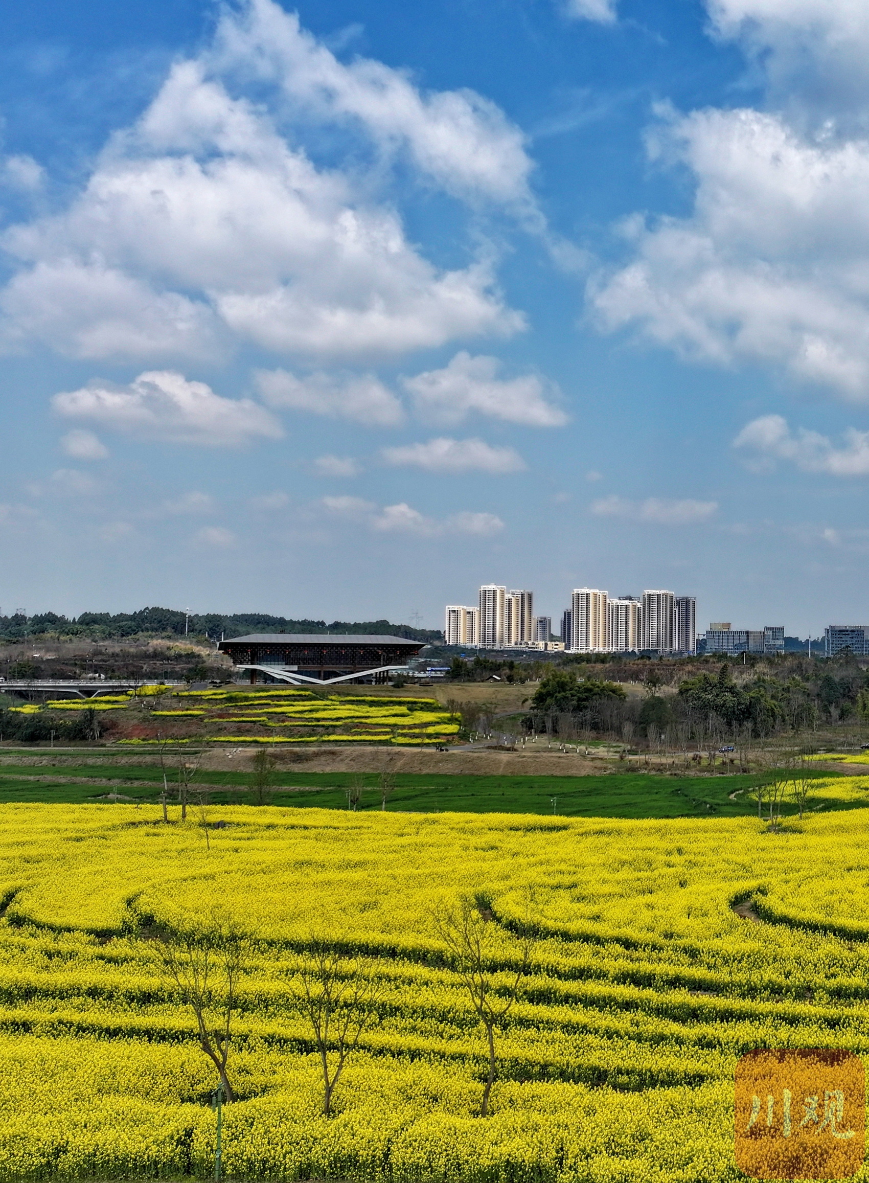 c视频丨成都天府新区新地标大雁展翅春色美