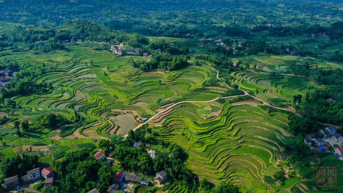 俯瞰达州梯田美不胜收 - 川观新闻