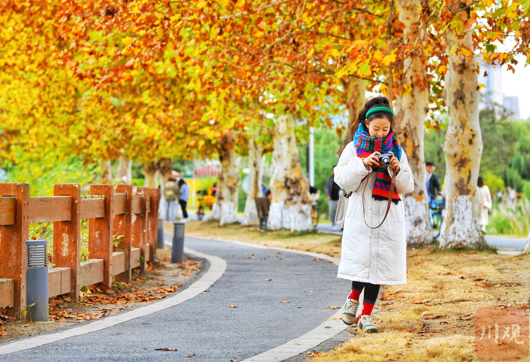 c视频秋天色彩下的缤纷生活
