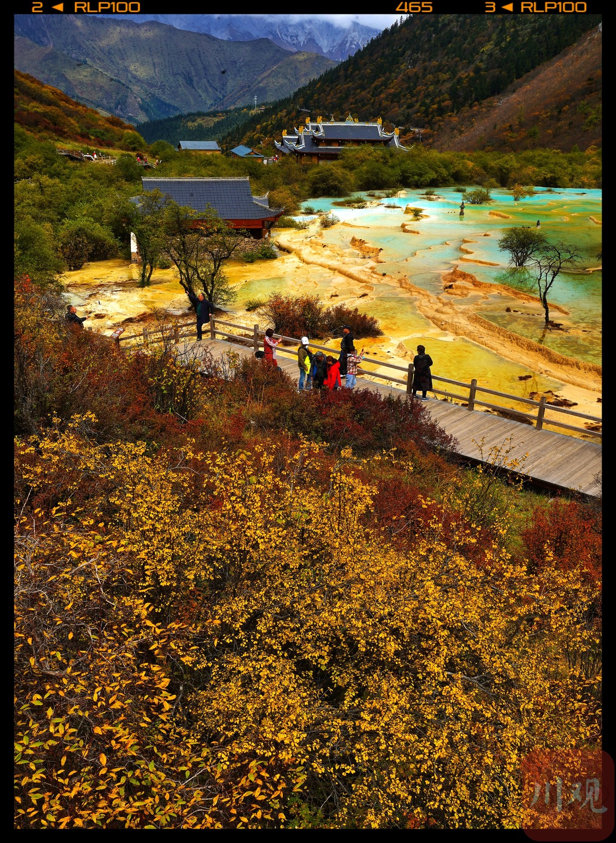 美图丨金秋黄龙迎来颜值巅峰   "人间瑶池"美不胜收