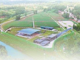 央媒看四川丨四川省濛溪河遗址考古队努力重现旧石器时代古人类生活图景 揭秘“百科全书”式遗址