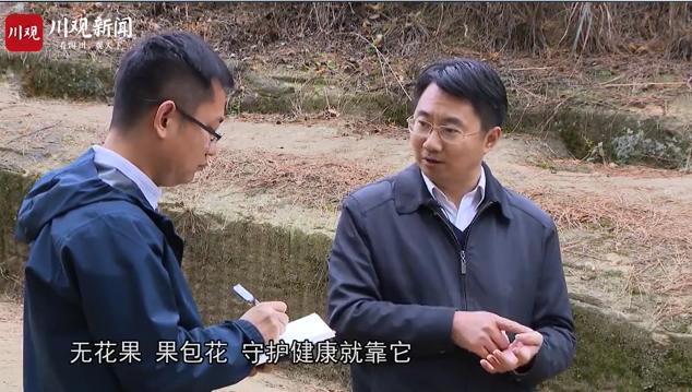 对话183·威远县委书记于进川:做大存量引进增量,再造一个产业威远