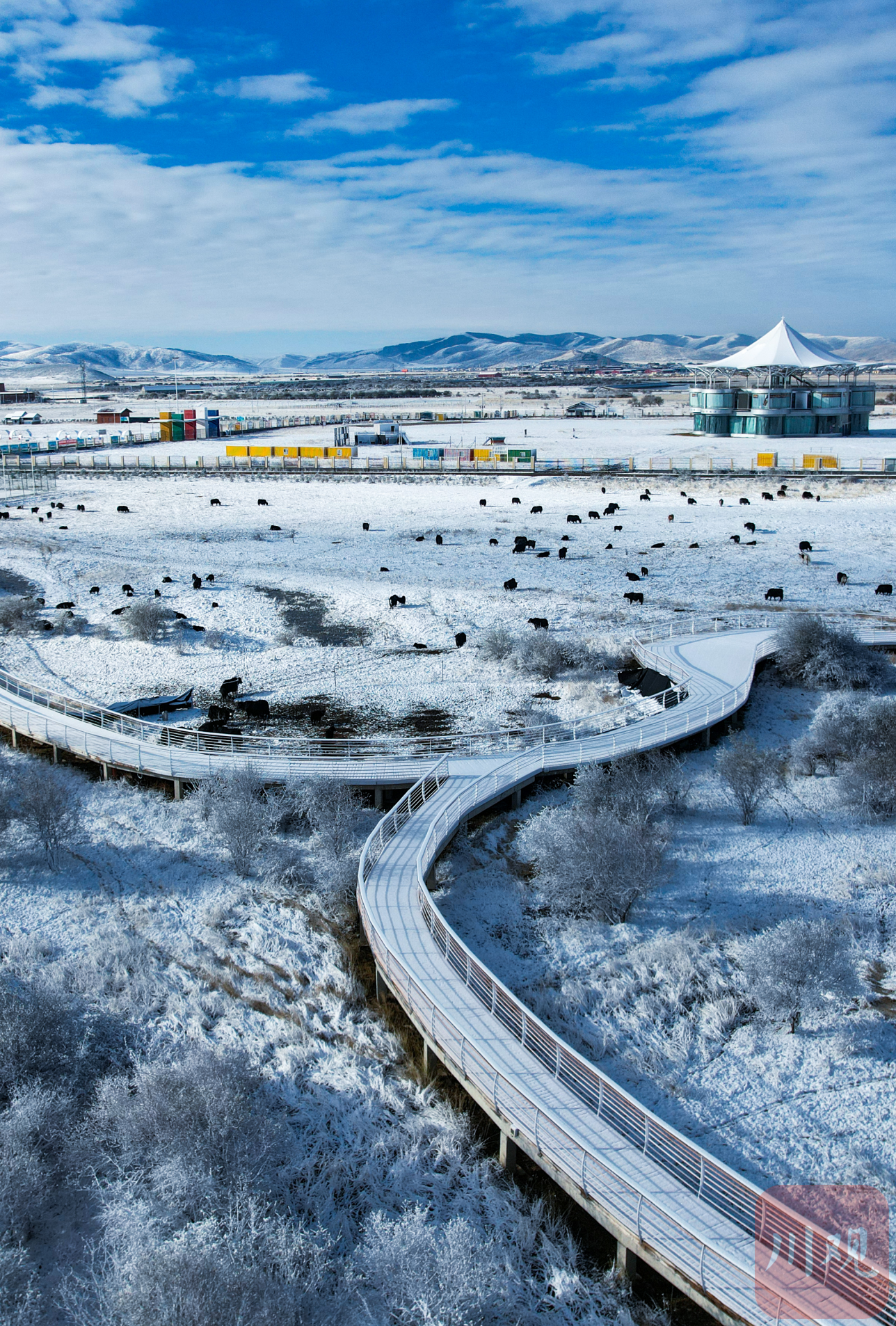 草原冬天雪景描述图片