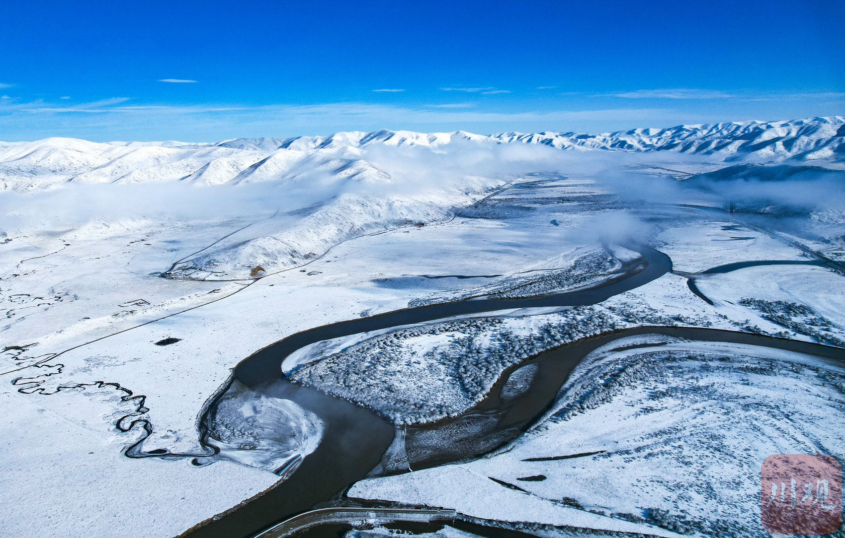 c视频|雪花飘落 红原大草原开启雪景模式 - 川观新闻
