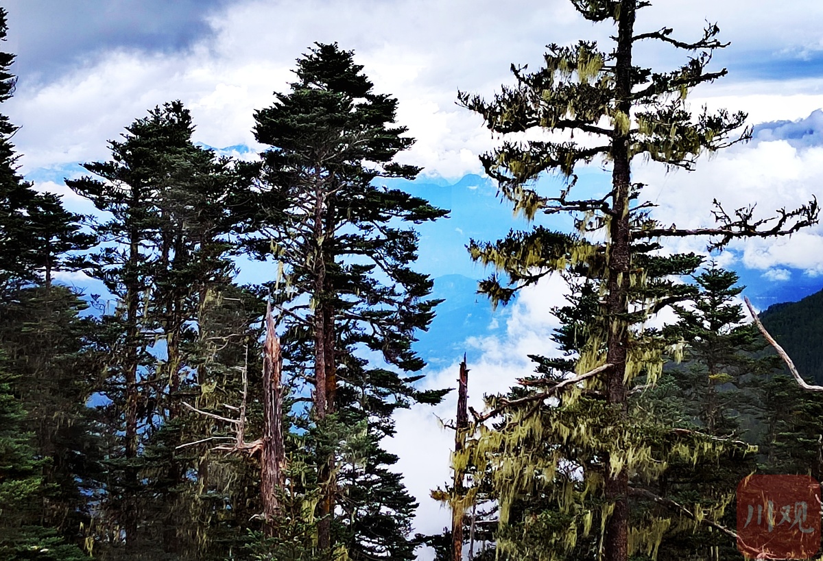 金秋十月，木里瓦厂镇赏秋正当时(图7)