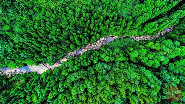 莺飞鸟鸣；洋烈水乡