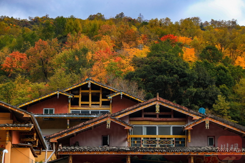 雅安宝兴天气预报在线