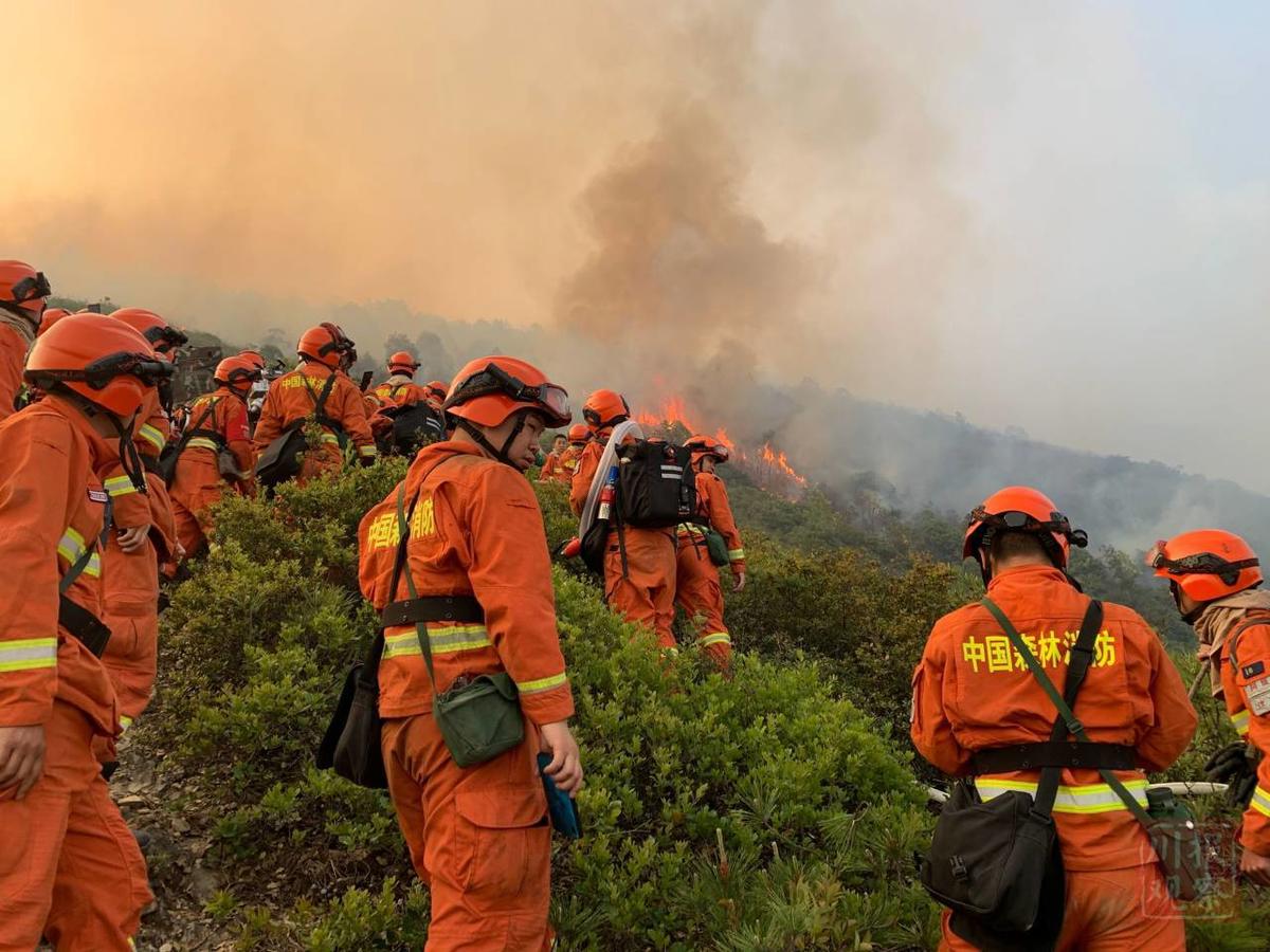 空地配合扑救喜德冕宁森林火灾投入1787人救火过火面积近40公顷