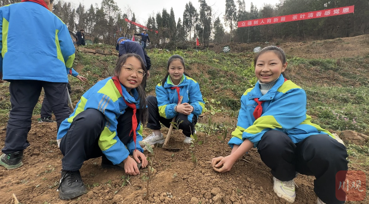 广元081小学图片