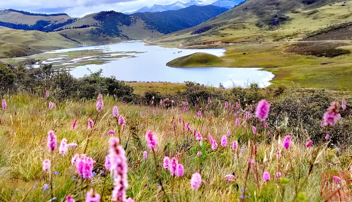 金秋十月，木里瓦厂镇赏秋正当时