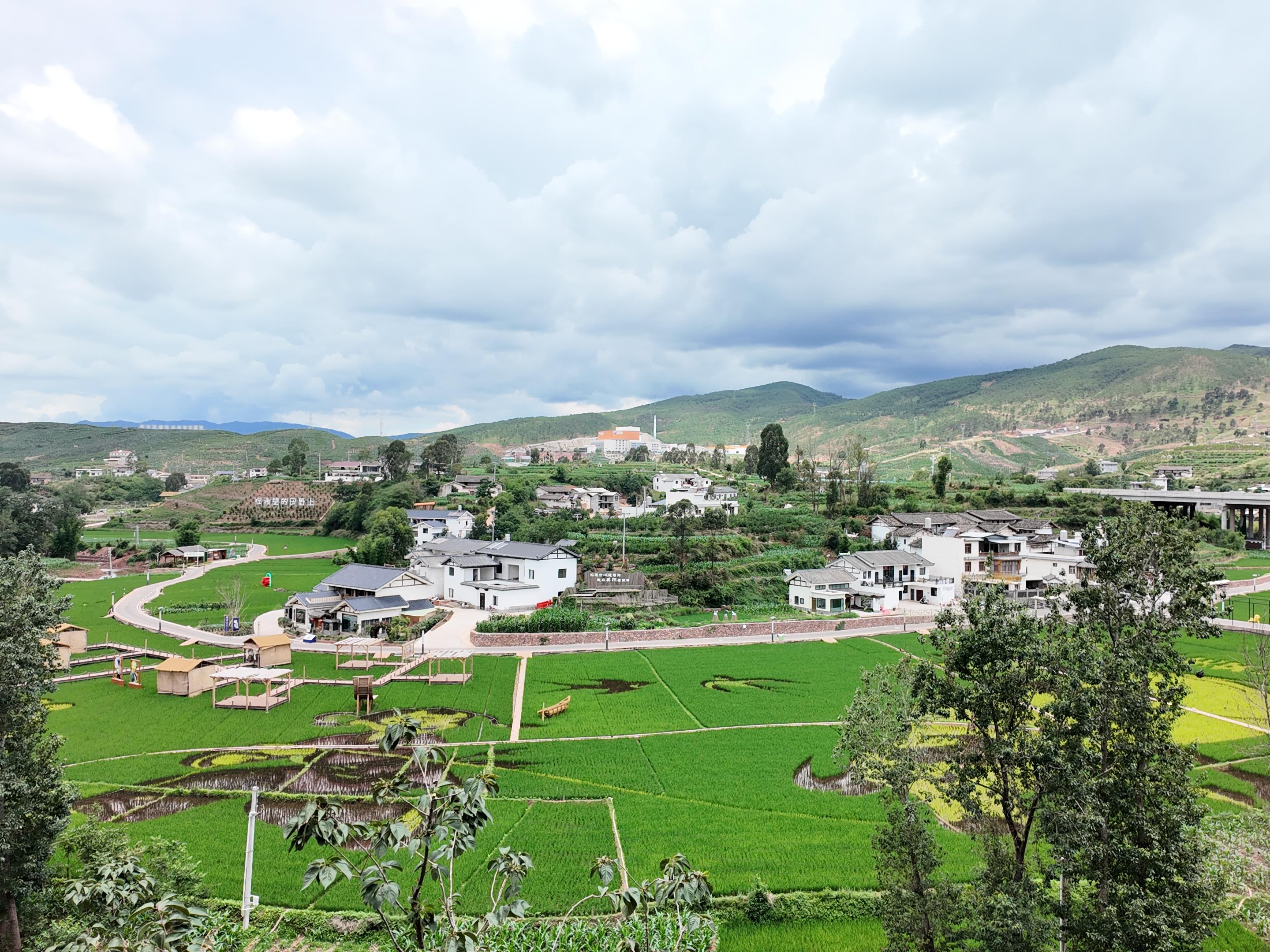 陌上姜州建起“幸福小院”，打造高品质乡村旅游目的地丨寻找示范田