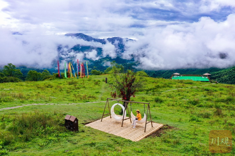 雅安宝兴:神木垒,来自森林草甸的"凉晨"美景 - 川观新闻