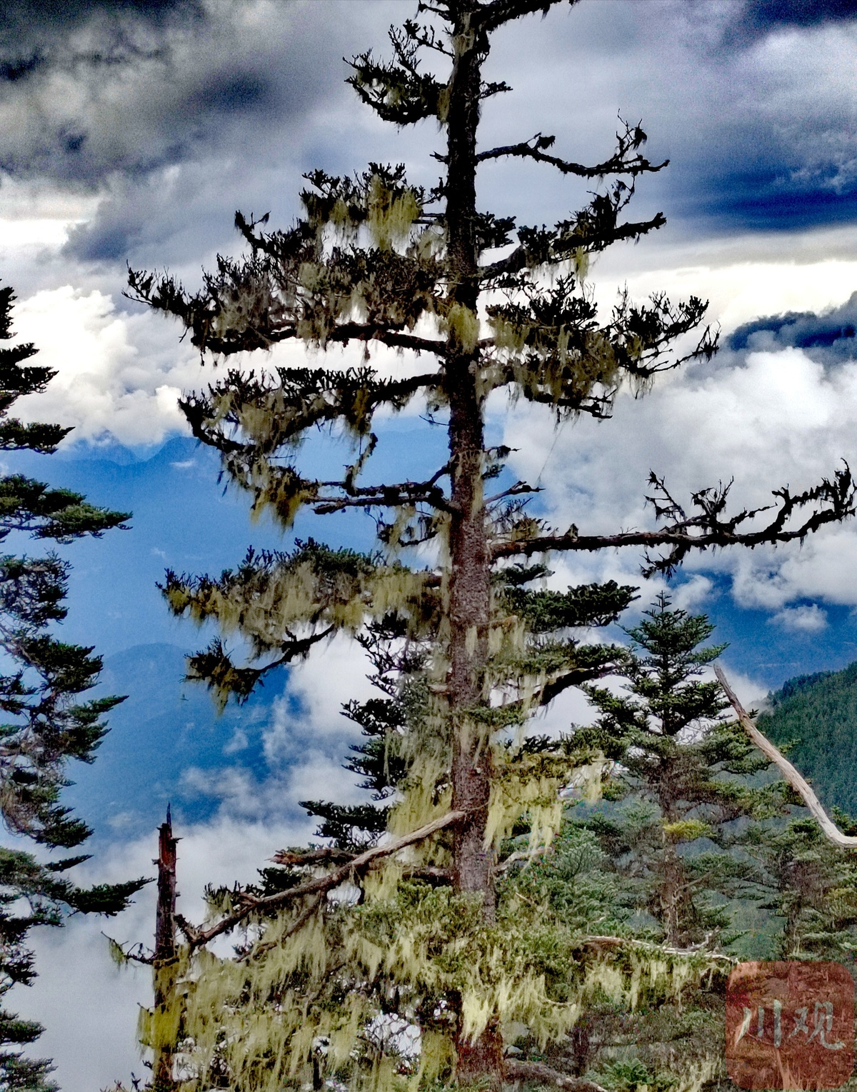 金秋十月，木里瓦厂镇赏秋正当时(图5)