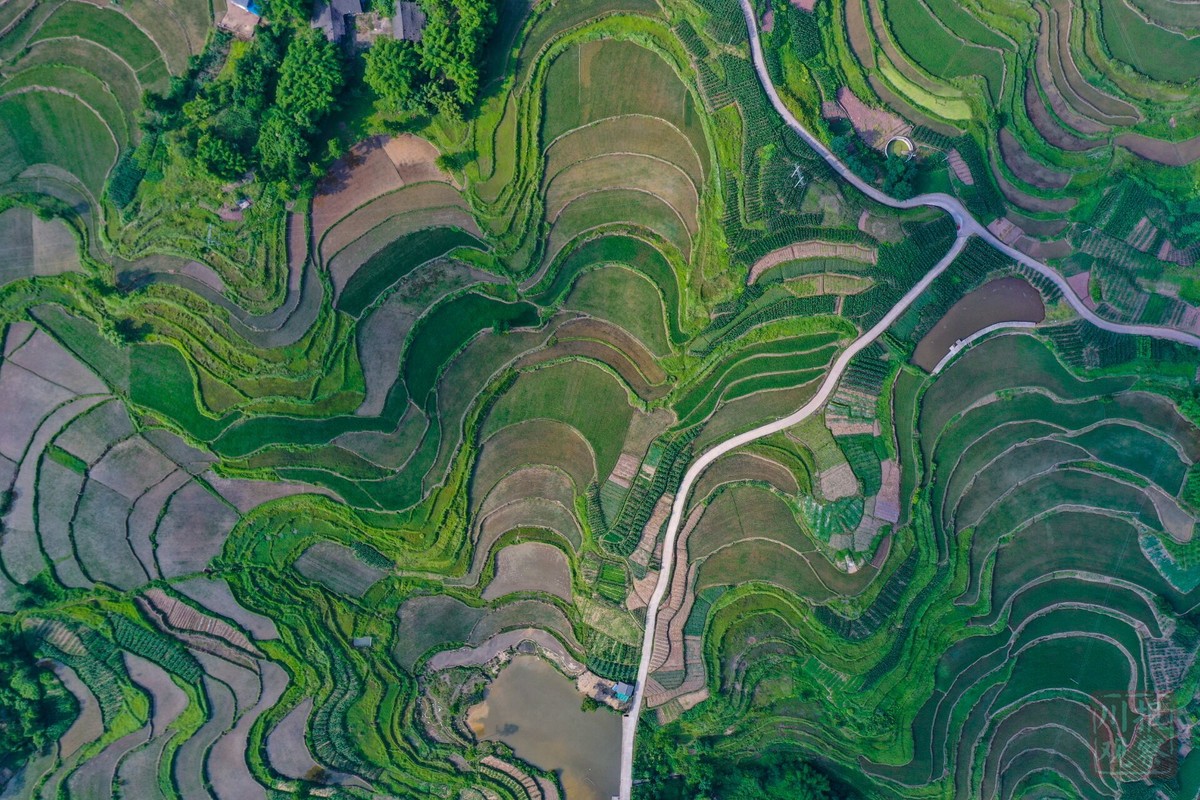 俯瞰达州梯田美不胜收 - 川观新闻