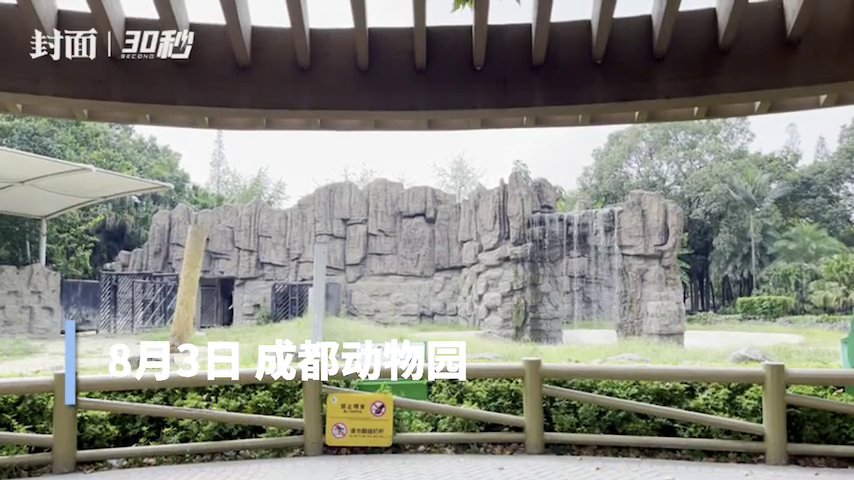 成都动物园里的大象去哪啦?它躲在屋里避暑呢! - 川观新闻