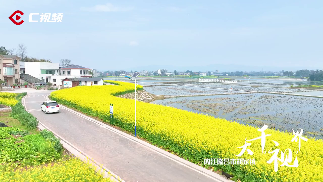 大千视界飞跃稻田与花海隆昌大地绘出美丽春耕图