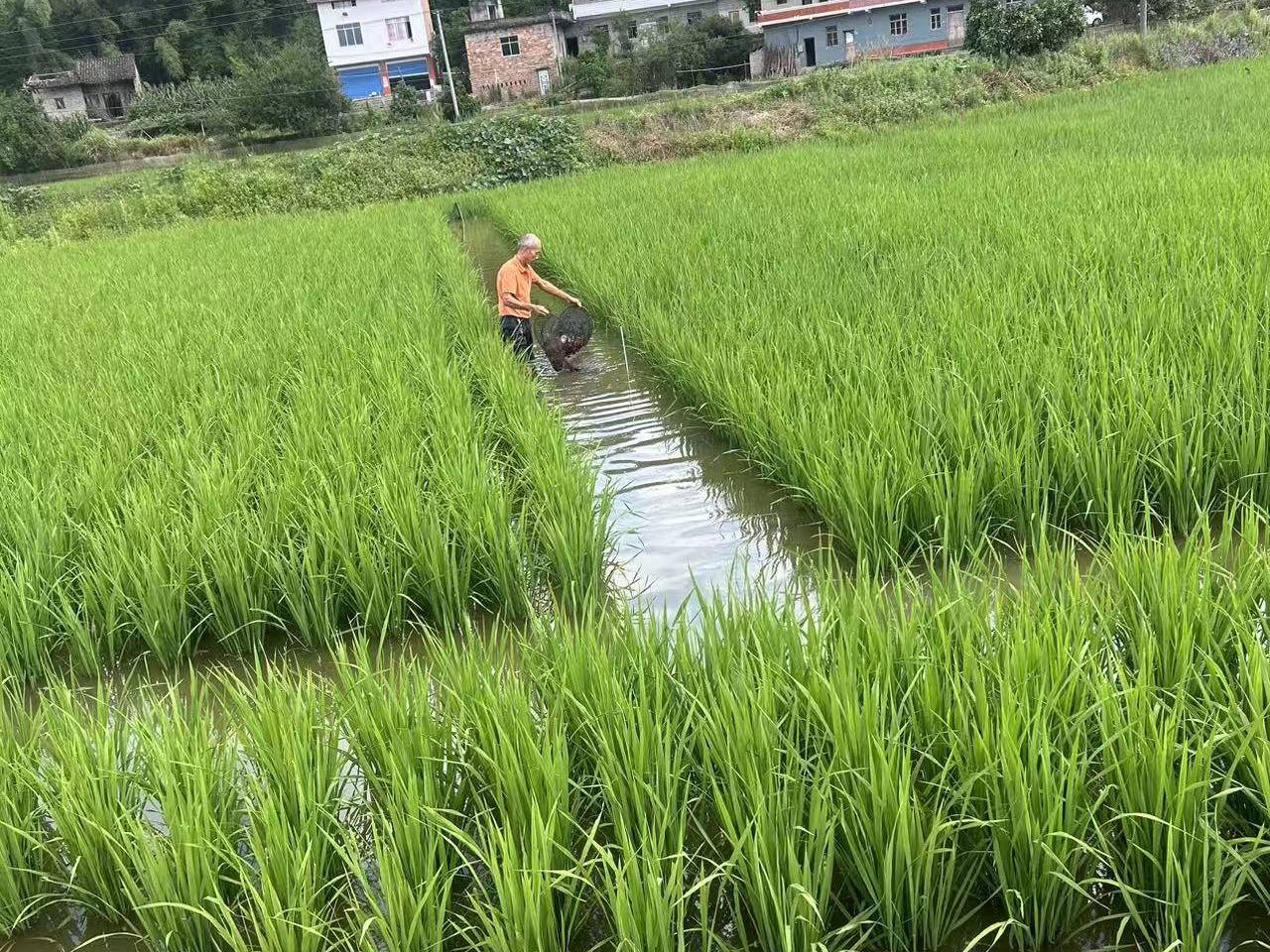 达州加大金融支农服务力度 将更多金融资源向服务“三农”倾斜丨市州观察